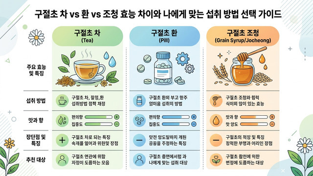 구절초 차 vs 환 vs 조청 효능 차이와 나에게 맞는 섭취 방법 선택 가이드