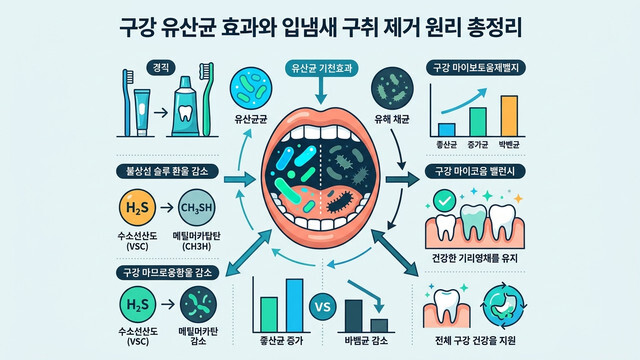 구강 유산균 효과와 입냄새 구취 제거 원리 총정리